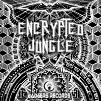 VA - Encrypted Jungle (Dec 2019)